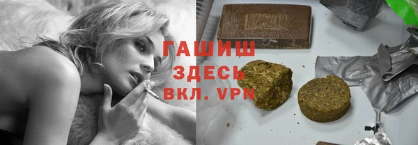 индика Алзамай
