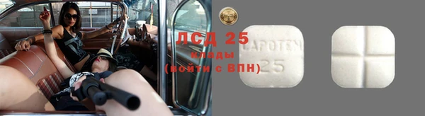 индика Алзамай