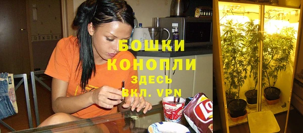 прущие крисы Сатка
