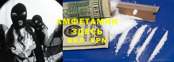 индика Алзамай