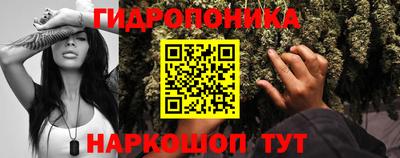 дживик Ставрополь