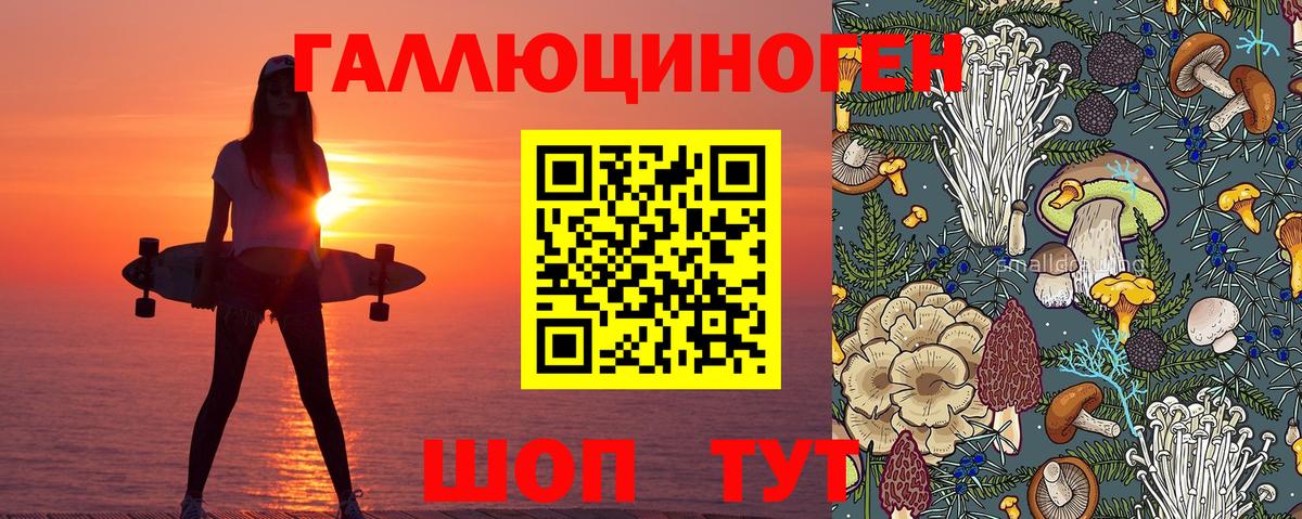 Псилоцибиновые грибы мицелий Слободской