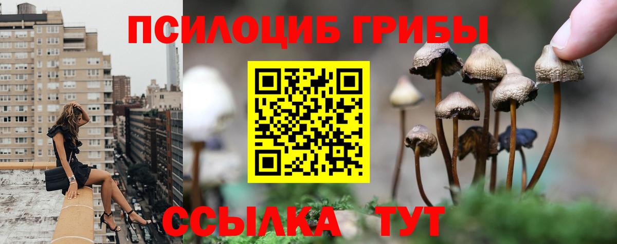 Слободской  Галлюциногенные грибы Cubensis  Вход с VPN  Псилоцибиновые грибы Psilocybine cubensis 